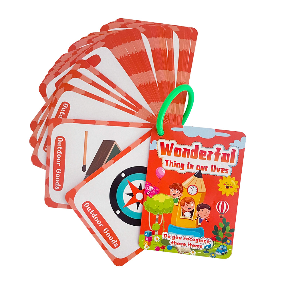 Daily Objects English Flashcar - Educational Flash Card review and price