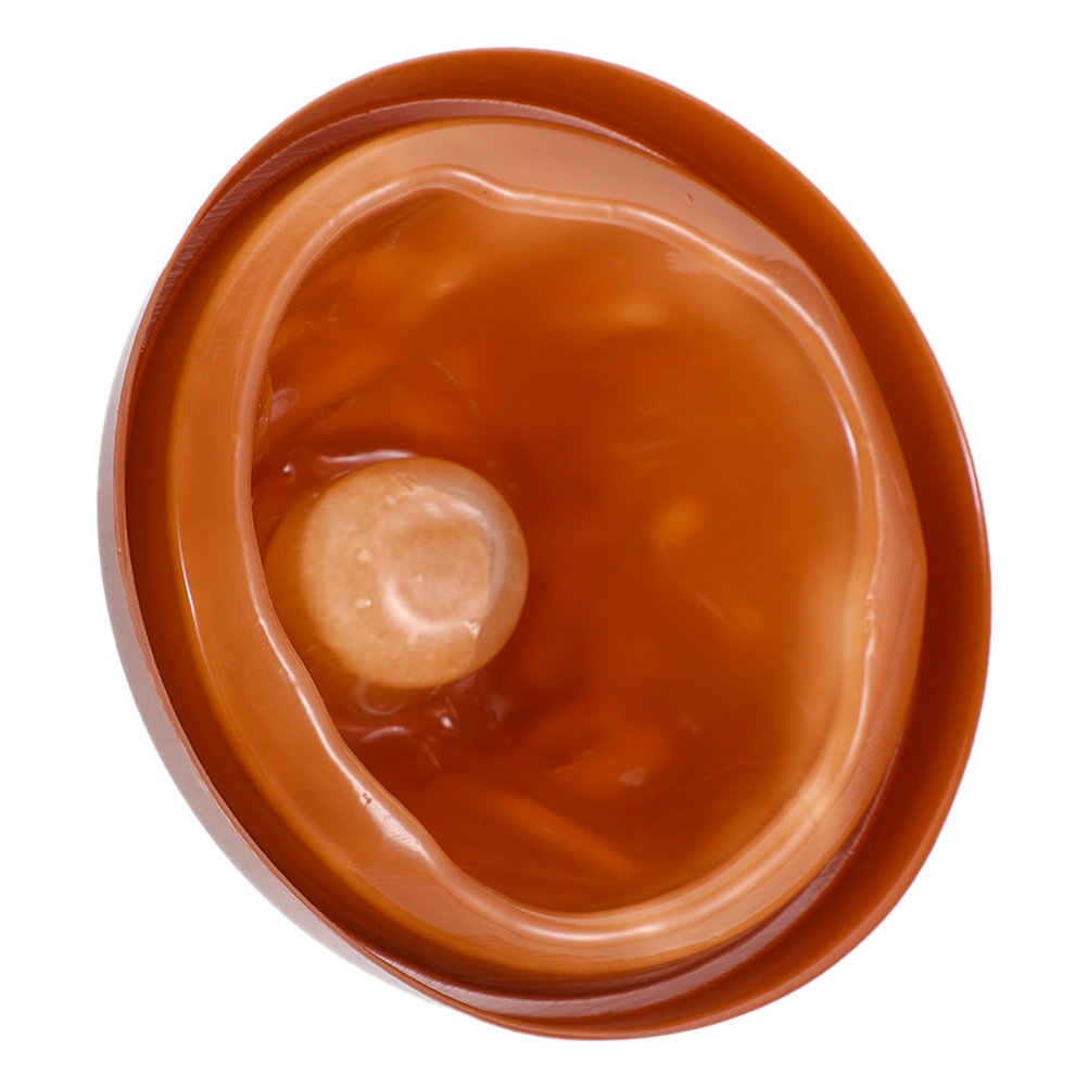 Plastic Volcano Shell and Base - Volcano Experiment Kit review and price